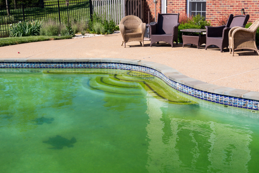 Clearing the Green or Yellow: Effective Strategies for Killing Algae in Swimming Pools