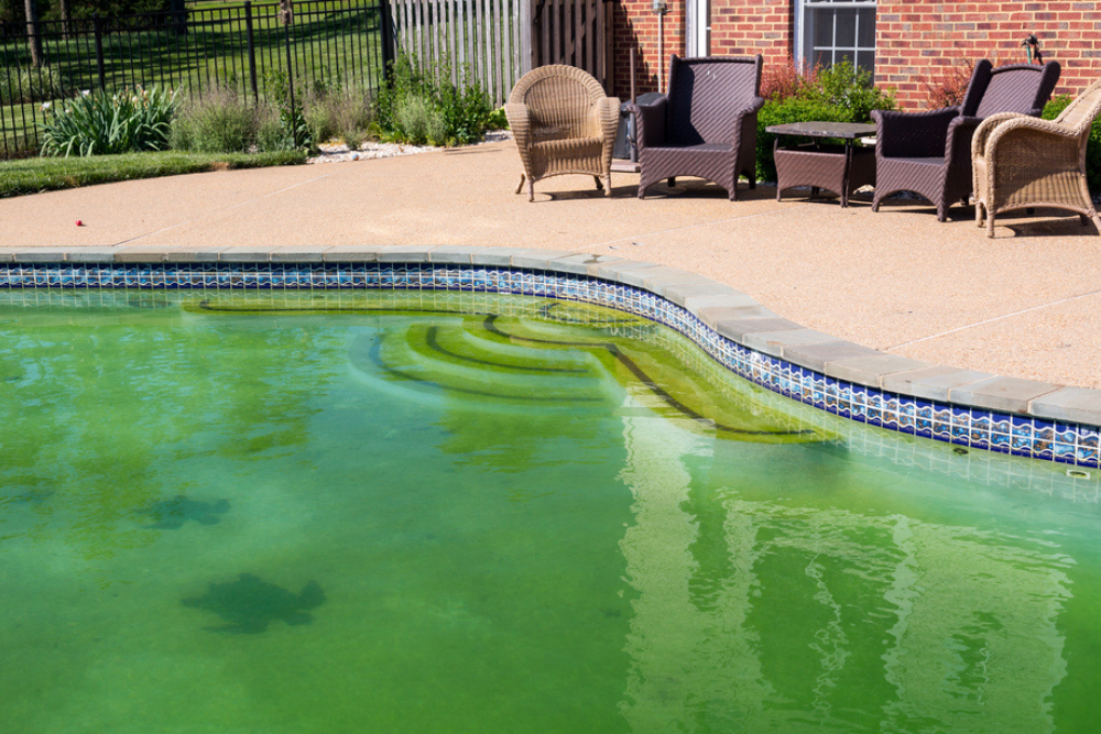 Clearing the Green or Yellow: Effective Strategies for Killing Algae in Swimming Pools